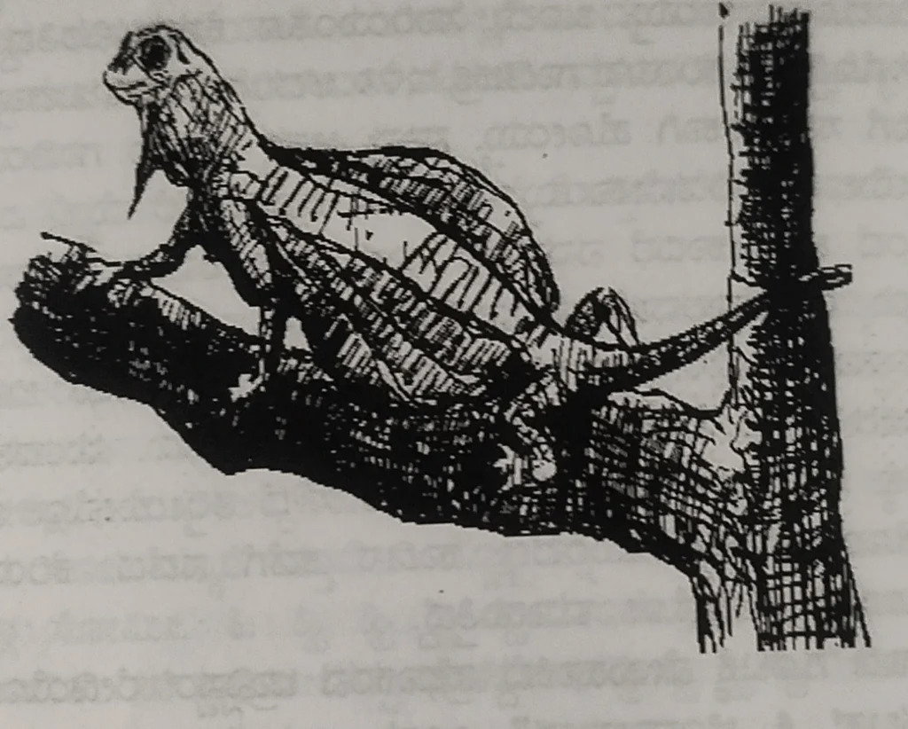 Karvalo - In Search of Flying Lizard